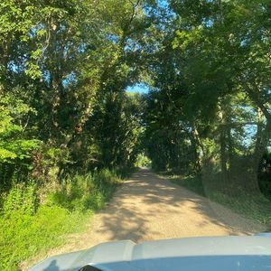 Meet your Posher, Loretta